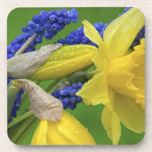 Porta-copo Detalhe das flores de narciso e jacinto. Crédito