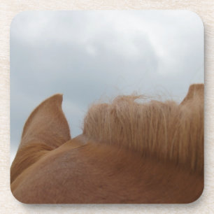 Porta-copo Do Vista de Cavalo, Orelhas de Cavalo e Pescoço