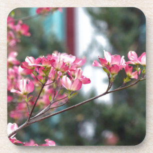 Porta-copo Dogwood Rosa