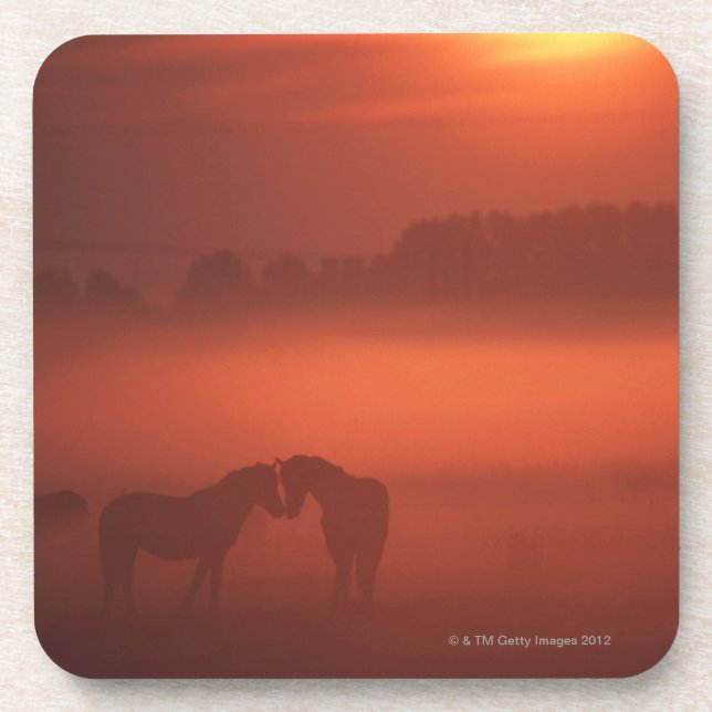 Porta-copo Dois cavalos no por do sol (Frente)