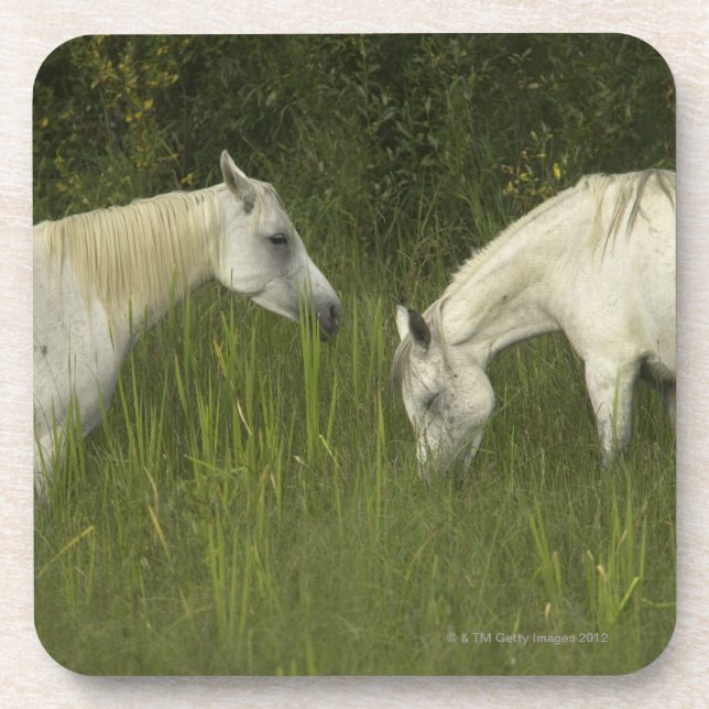 Porta-copo Dois cavalos que comem a grama (Frente)