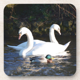 Porta-copo Dois Cisnes E Um Pato