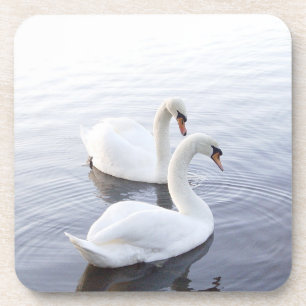 Porta-copo Dois cisnes nadando em um lago tranquilo