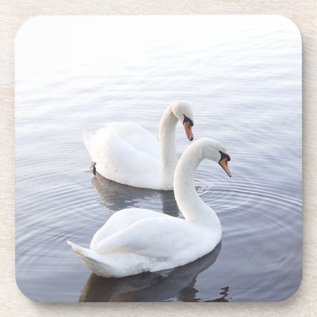 Porta-copo Dois cisnes nadando em um lago tranquilo (Frente)