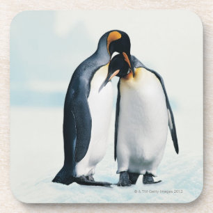 Porta-copo Dois pinguins afectuosos