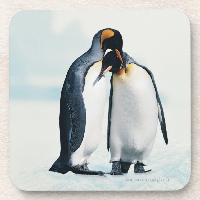 Porta-copo Dois pinguins afectuosos (Frente)