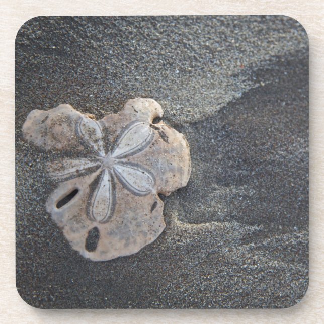 Porta-copo Dólar de areia na areia (Frente)