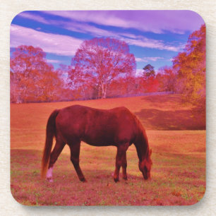 PORTA-COPO DSCF0536.JPG