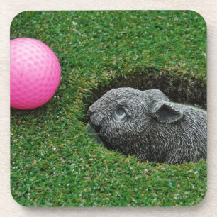 PORTA-COPO DSCF0652.JPG