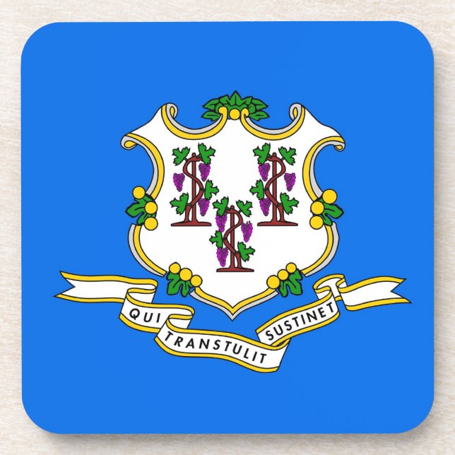 Porta-copo Duro de plástico com bandeira de Connecticut, EUA (Frente)