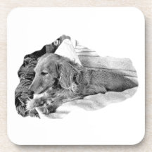 Dutch Hound Resting – Graphic Coaster