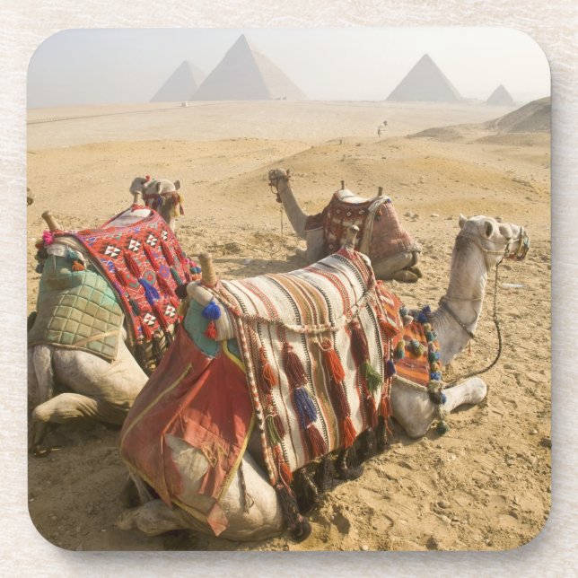 Porta-copo Egito, Cairo. Camelos descansando (Frente)