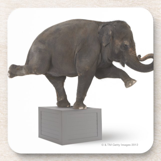 Porta-copo Elefante que executa o truque na caixa (Frente)
