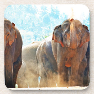 Porta-copo Elefantes Animais Safari Destino Paz Amor