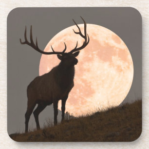 Porta-copo Elevação majestosa dos alces e da Lua cheia de