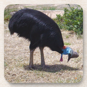 Porta-copo Eliminador de Insetos de aves Cassowary,  