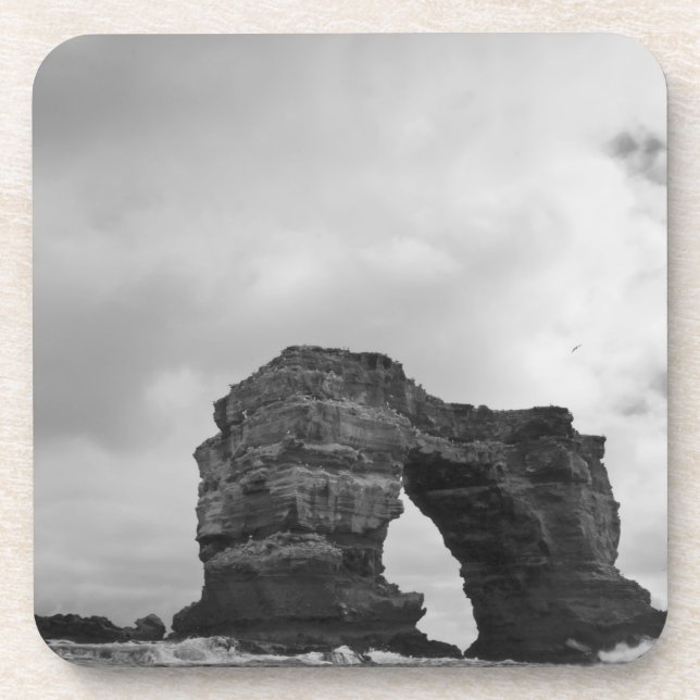 Porta-copo Equador, Ilhas Galápagos, Ilha Darwin, Ondas (Frente)
