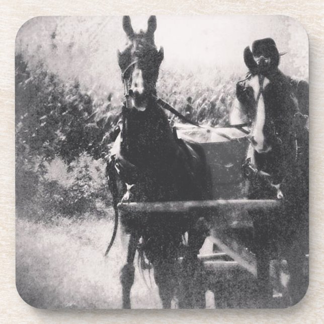 Porta-copo Equipe de Cavalo #cavalo #amish (Frente)