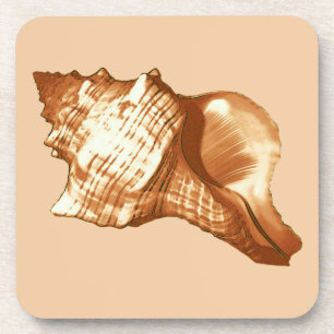 Porta-copo Esboço da concha - castanho, branco e bronzeado