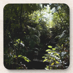 Porta-copo Escadaria/passeio rústicos na floresta, luz solar