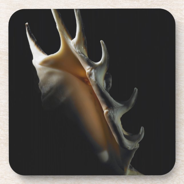 Porta-copo Escudo do Conch (Frente)