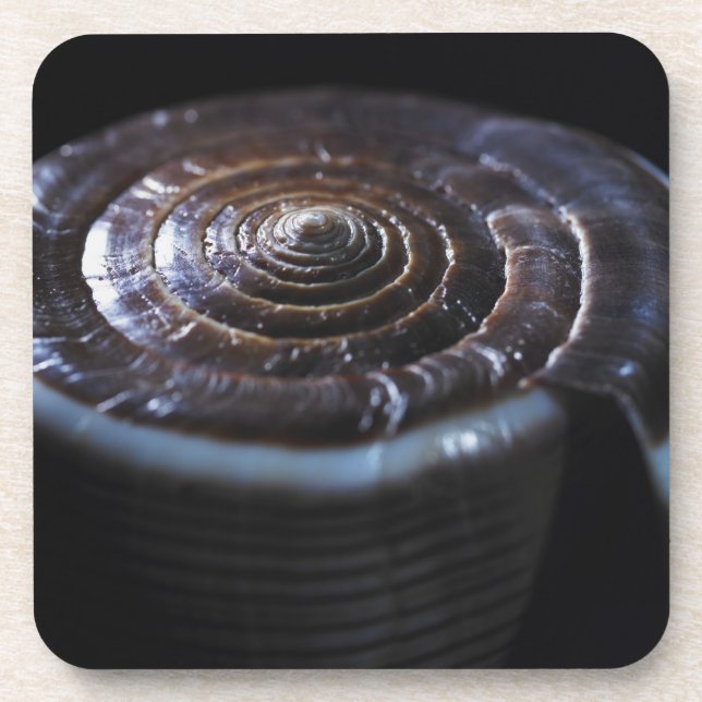 Porta-copo Escudo do cone (Frente)