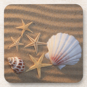 Porta-copo Escudos e estrela do mar do mar