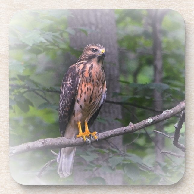 Porta-copo Espírito Do Hawk (Frente)