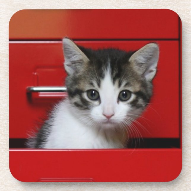Porta-copo Espreitar do gatinho (Frente)