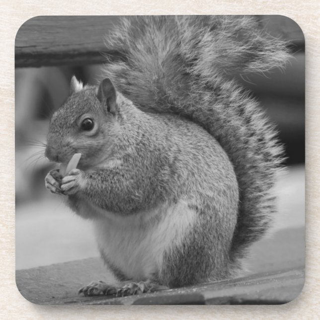 Porta-copo Esquilo (Frente)