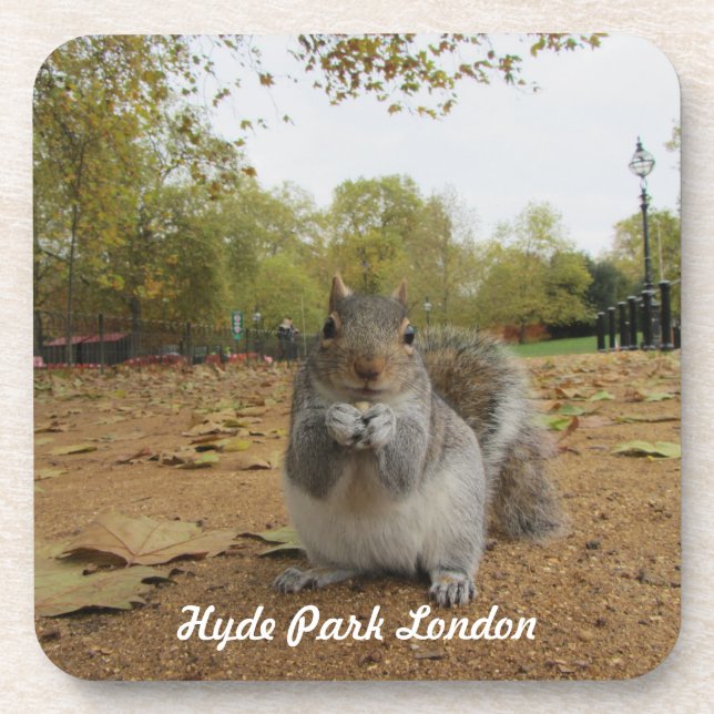 Porta-copo Esquilo-cinzento Hyde Park Londres. (Frente)