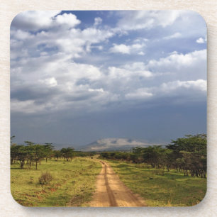 Porta-copo Estrada de terra primitiva no norte