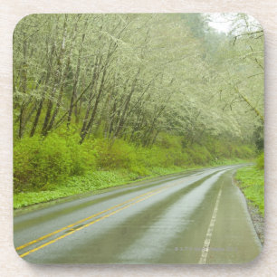 Porta-copo Estrada remota através da floresta