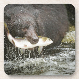 Porta-copo EUA, Alasca, Anan Creek. Close-Up de Urso Preto