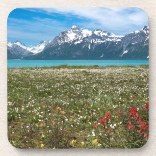 Porta-copo EUA, Alasca, Parque Nacional Glacier Bay 2