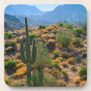 Porta-copo EUA, Arizona. Desert View