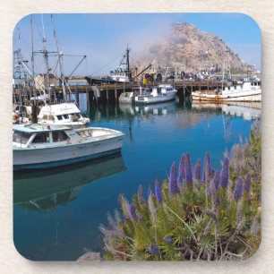 Porta-copo EUA, Califórnia. Barcos Atracados em Morro Bay