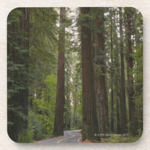 Porta-copo EUA, Califórnia, estrada através da floresta 2 d