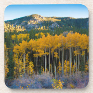 Porta-copo EUA, Colorado. Amarelos Brilhantes Aspens nos Rock