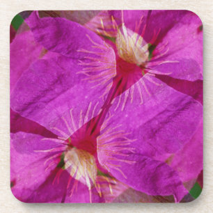 Porta-copo EUA, Colorado, Boulder. Montagem da flor de Clemat