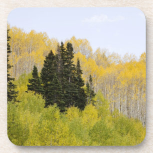 Porta-copo EUA, Colorado, Floresta Nacional de Gunnison, ao l