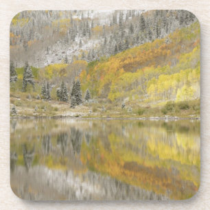 Porta-copo EUA, Colorado, Floresta Nacional White River, 2