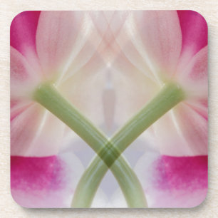 Porta-copo EUA, Colorado, Lafayette. Montagem de orquídea