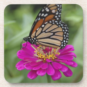 Porta-copo EUA, Massachusetts, Boylston, monte da torre