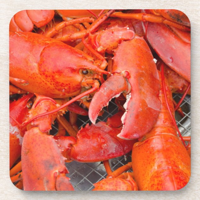 Porta-copo EUA, Massachusetts, Vineyard de Martha (Frente)