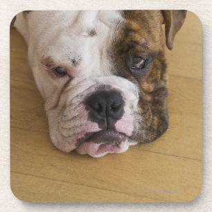 Porta-copo EUA, New-jersey, Jersey City, retrato do furado