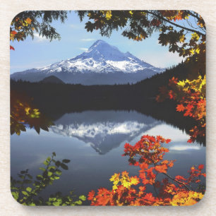 Porta-copo EUA, Oregon, Floresta Nacional de Mt. Hood.