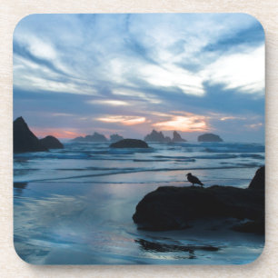 Porta-copo EUA, Oregon, Praia de Bandon. Gaivota sobre rocha