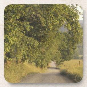 Porta-copo EUA, Tennessee, Excelente Mountains National 2