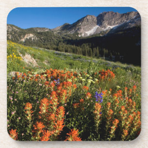 Porta-copo EUA, Utah, Floresta Nacional Uinta-Wasatch-Cache
